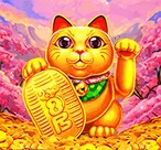 JDB电子游戏《招财喵喵》试玩