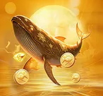 尊龙时凯登录入口:账户登录流程、功能模块与常见问题全知道